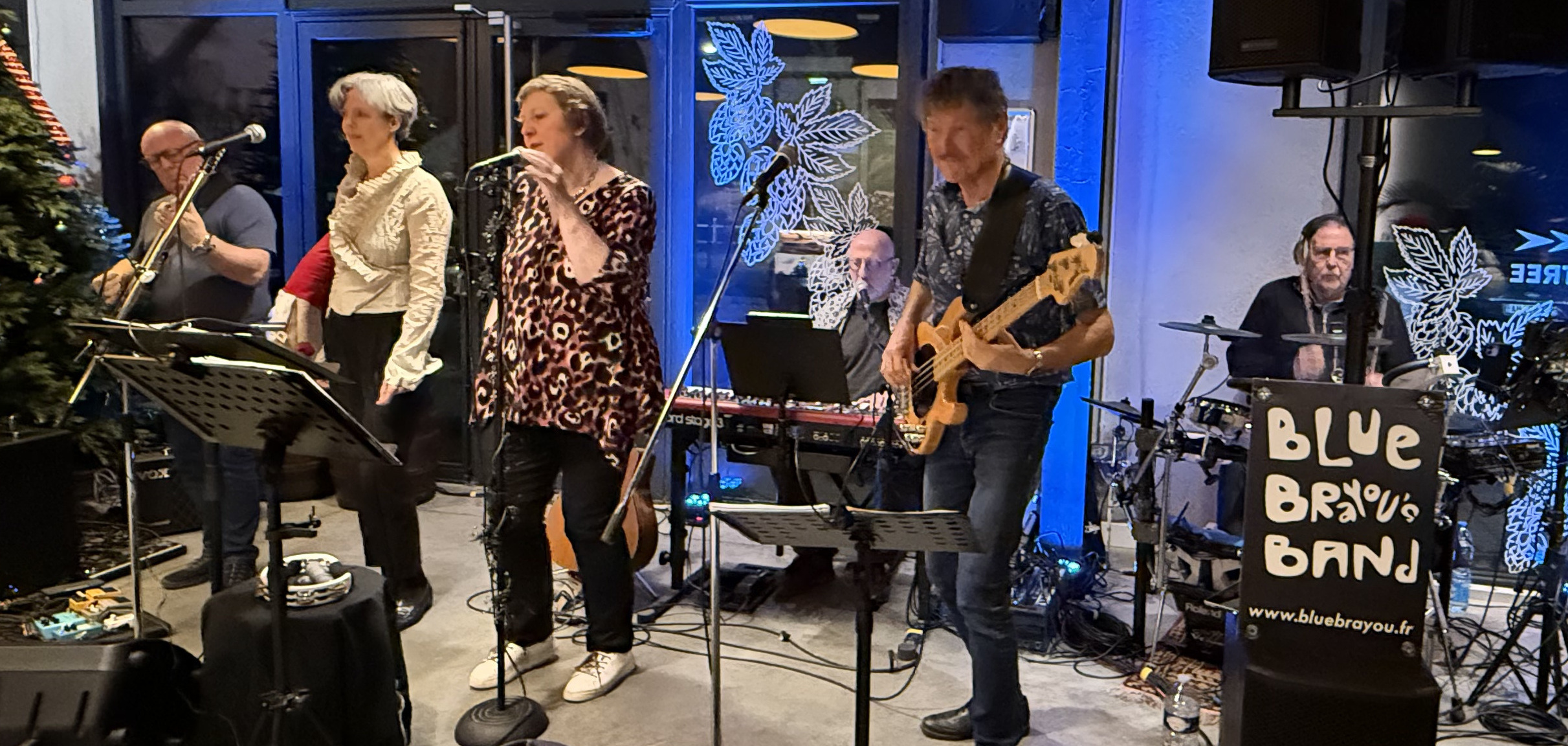 Blue Brayou's Band Pop Rock Lille